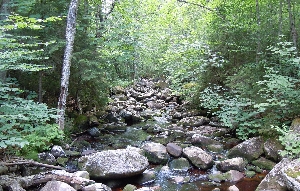 Brown's Brook in the Adirondack Park