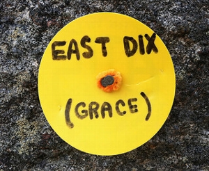 Grace/East Dix Peak