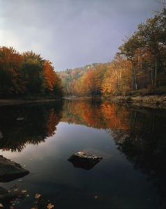 "Ausable River - Morning East Branch," Nathan Farb. WNYC.